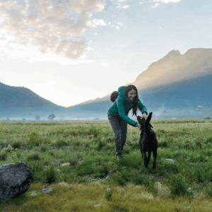Person playing with a black dog in a scenic mountain meadow.