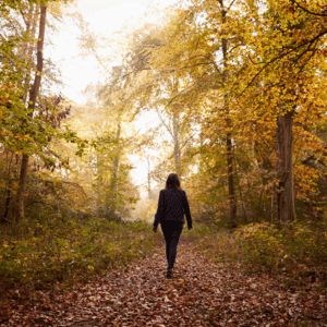 Person walking alone through autumn forest path.