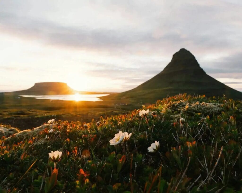 Mountain landscape and wildflowers in the Balearic Islands along the path of totality for eclipse travel 2026