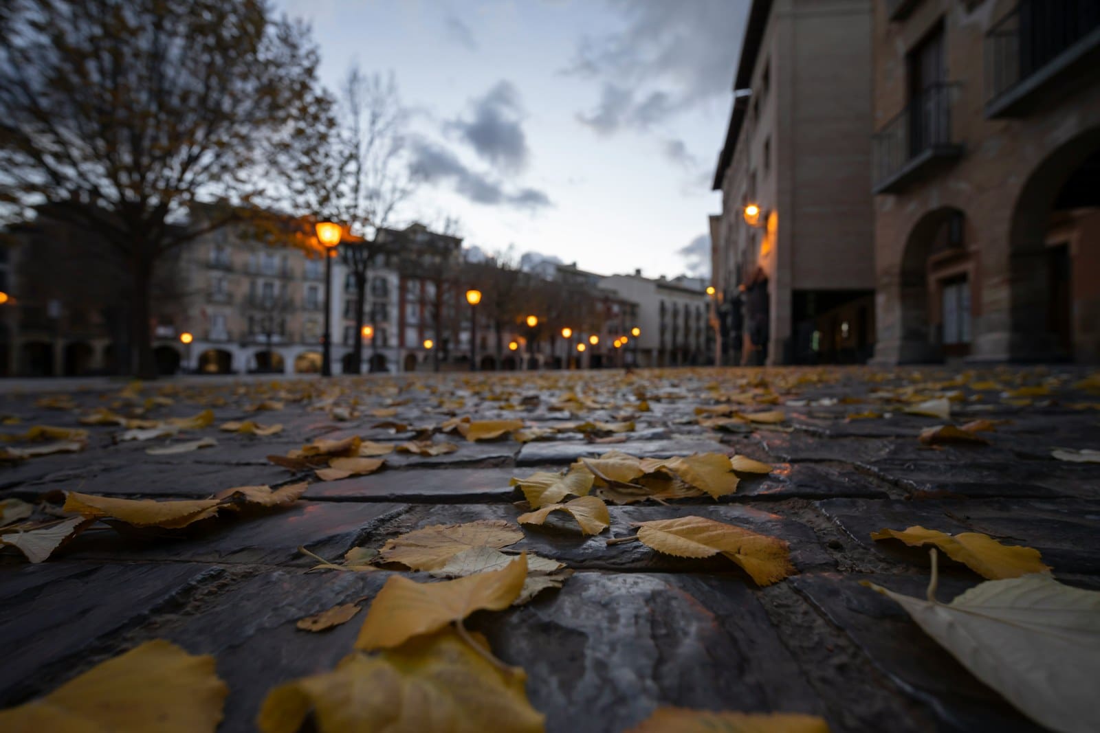 Fallen autumn leaves on the paving of an arcaded Spanish plaza at dusk, street lamps lit