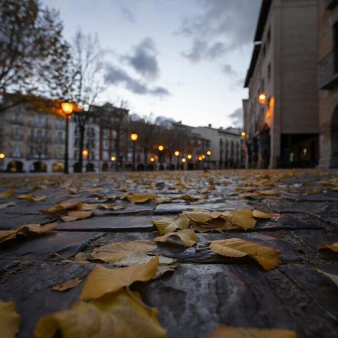 Fallen autumn leaves on the paving of an arcaded Spanish plaza at dusk, street lamps lit